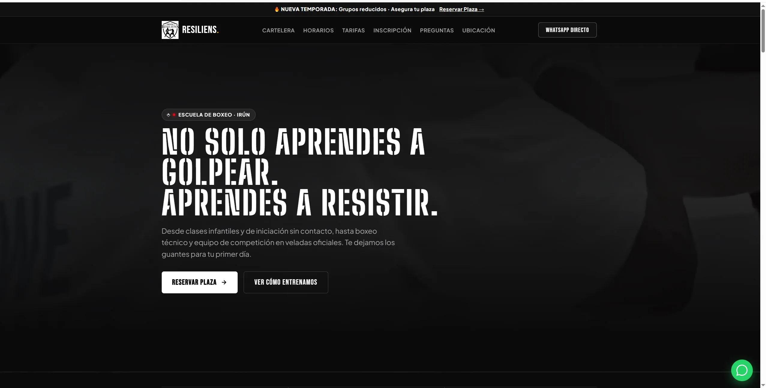 Irungo Resiliens Boxing gimnasioaren webgunearen pantaila-argazkia
